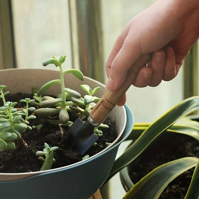 Garden Tool Set Mini Gardening Kit with Rake, Trowel and Shovel